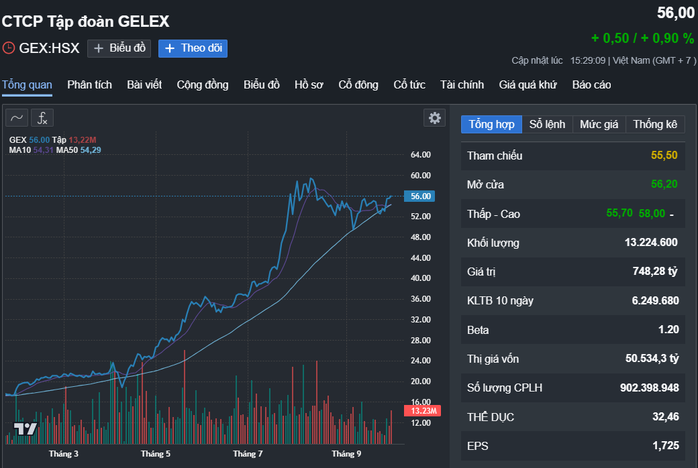 Mẹ CEO Nguyễn Văn Tuấn chi gần 700 tỉ đồng mua cổ phiếu Gelex - Ảnh 1.