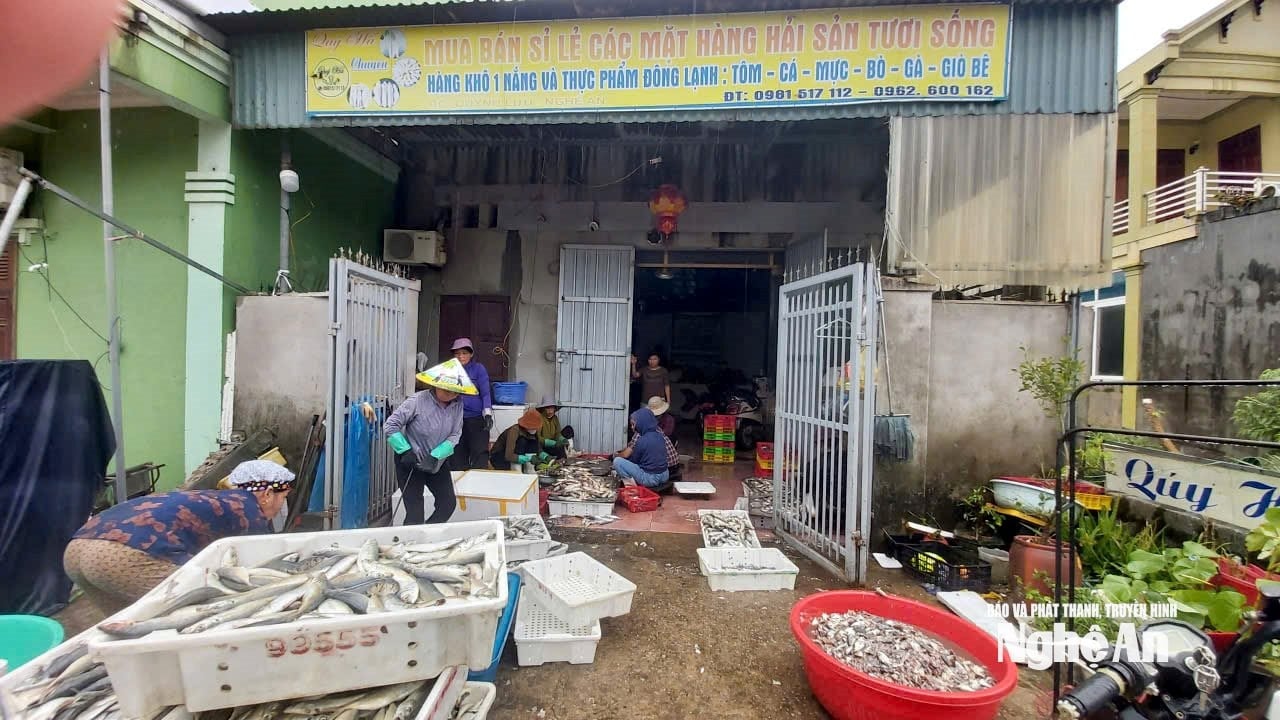 ការបោះពុម្ពលើកទី 8