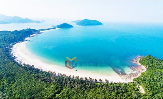 Ancient Myrtle forest on Minh Chau island in Van Don Special Economic Zone (Photo TL)