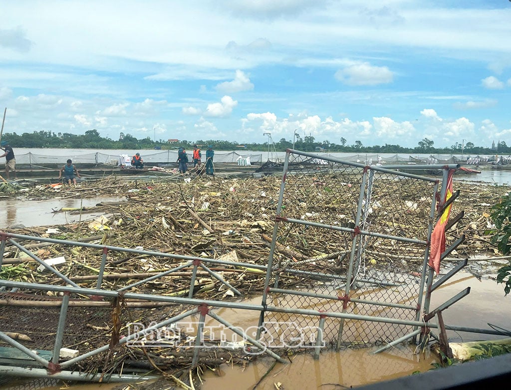 Youth Union members of Tan Hung commune cooperate with other forces to help households raising fish in cages collect trash to protect the farming area.