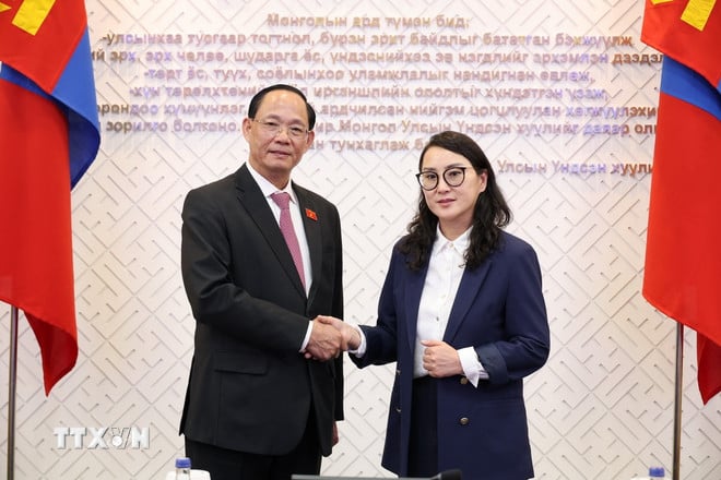 ttxvn-viet-nam-mong-co-3.jpg