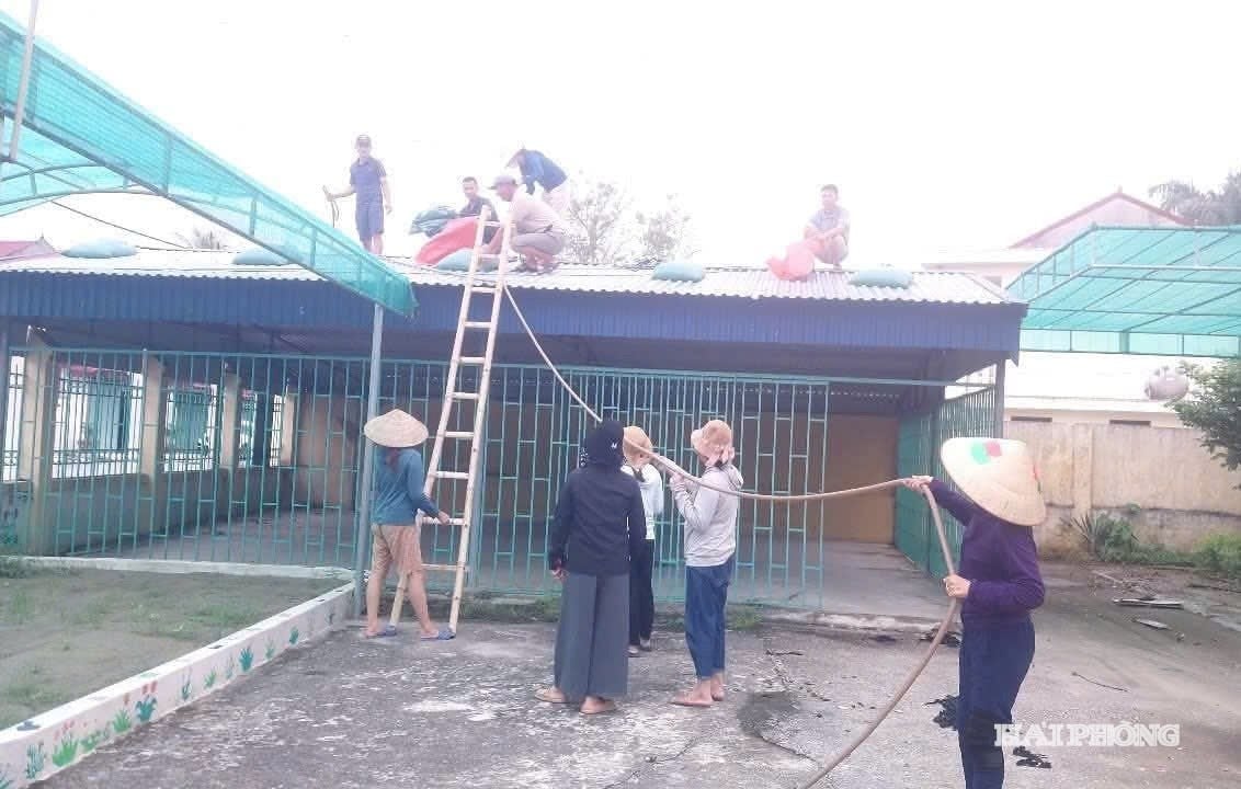 តេស្ត ៤