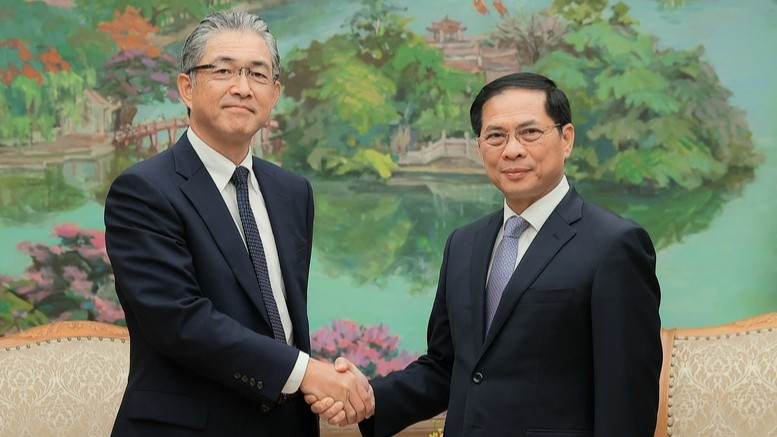 Phó Thủ tướng Bùi Thanh Sơn tiếp Tổng Giám đốc khối điện và hạ tầng toàn cầu Tập đoàn Marubeni Naoki Ito. (Ảnh: VGP/Hải Minh)