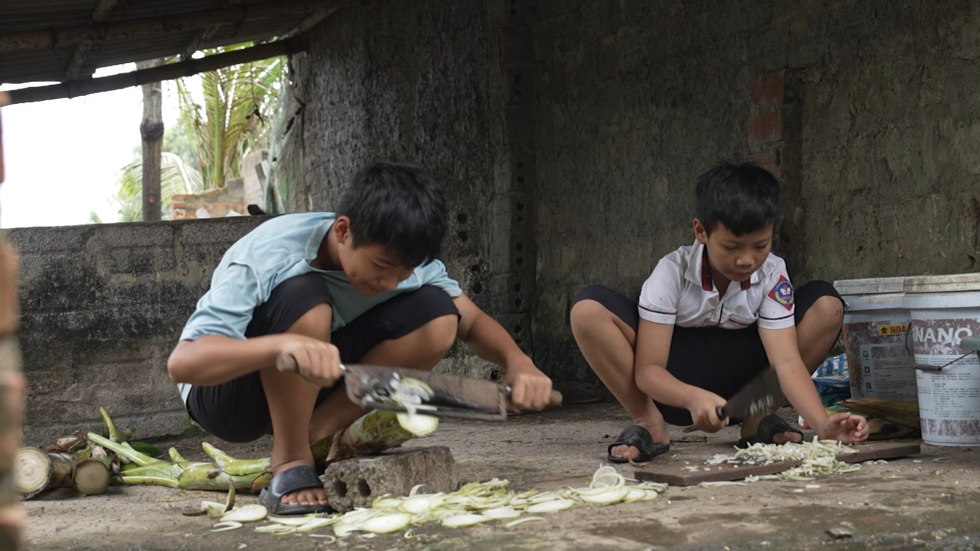 បងប្អូនទាំងពីរបានព្យាយាមចែករំលែកការងារប្រចាំថ្ងៃជាមួយជីដូនរបស់ពួកគេ។