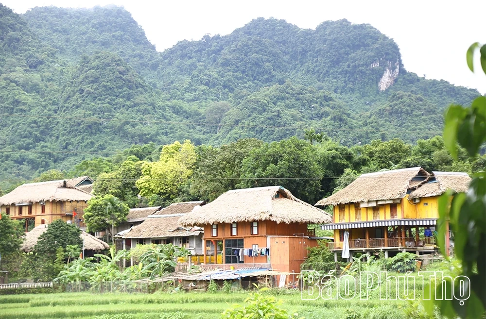 Xom Mo - ឧទាហរណ៍ធម្មតានៃការអភិវឌ្ឍន៍ទេសចរណ៍សហគមន៍ពីអត្តសញ្ញាណវប្បធម៌របស់ជនជាតិ Muong