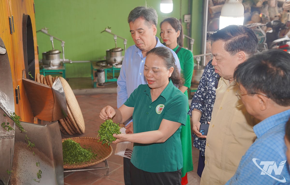 Đoàn công tác Giải thưởng Nhân tài Đất Việt 2025 - giải thưởng “Khuyến học - Tự học thành tài”
tìm hiểu thực tế về sản phẩm ống diệt men chè.