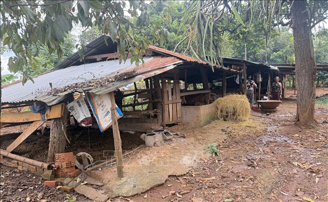 ចំណងជើងរូបថត