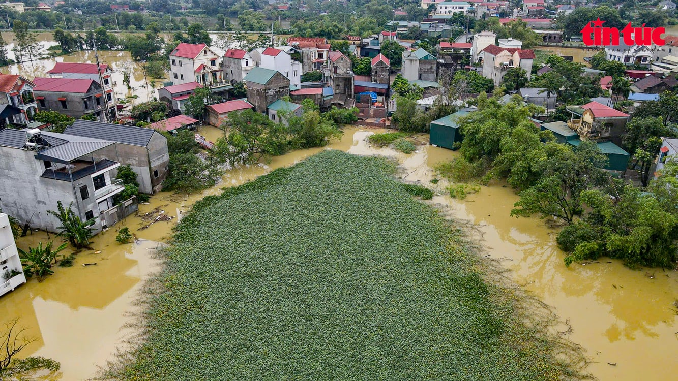 ចំណងជើងរូបថត