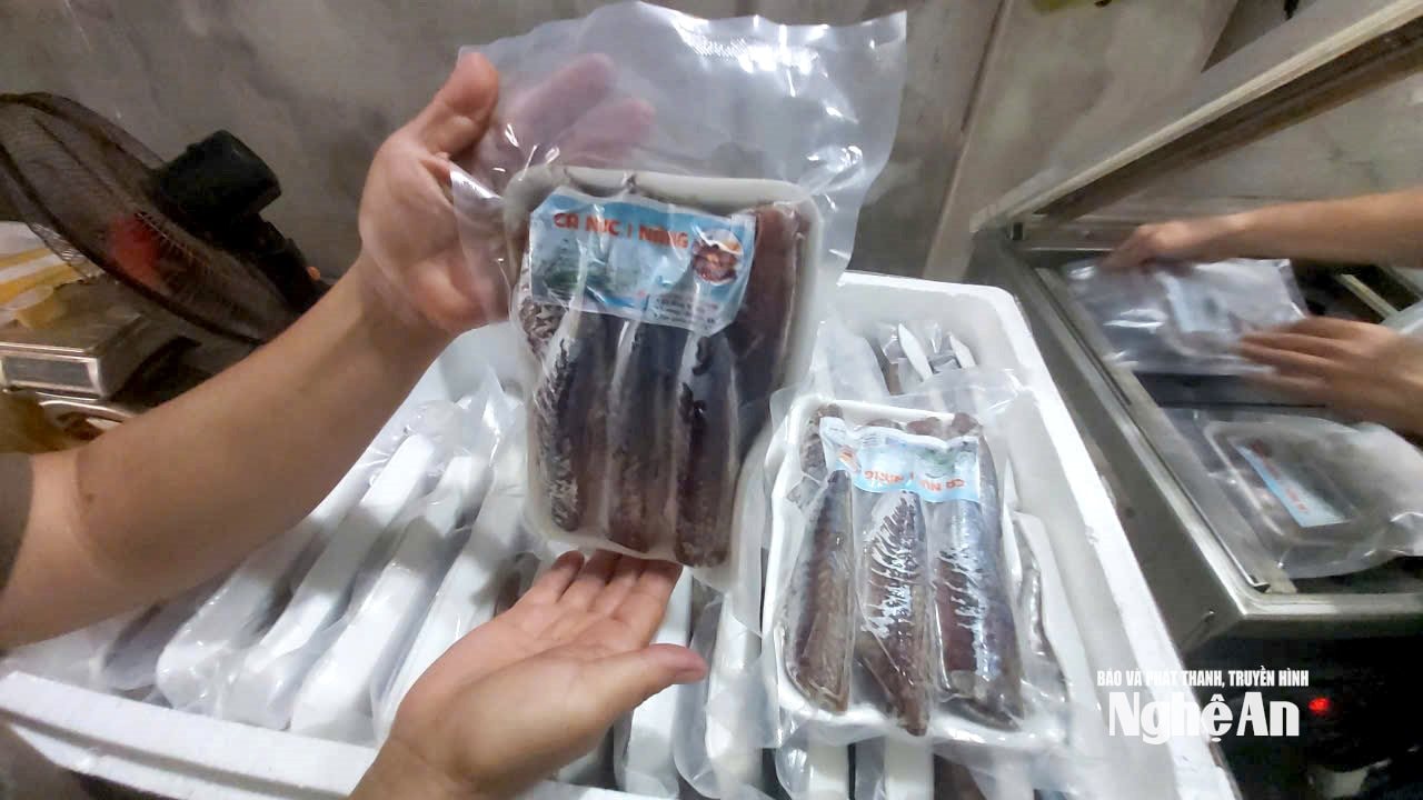 ស៊ីឌី ៤
