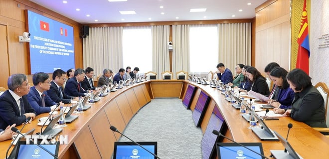 ttxvn-viet-nam-mong-co-1.jpg