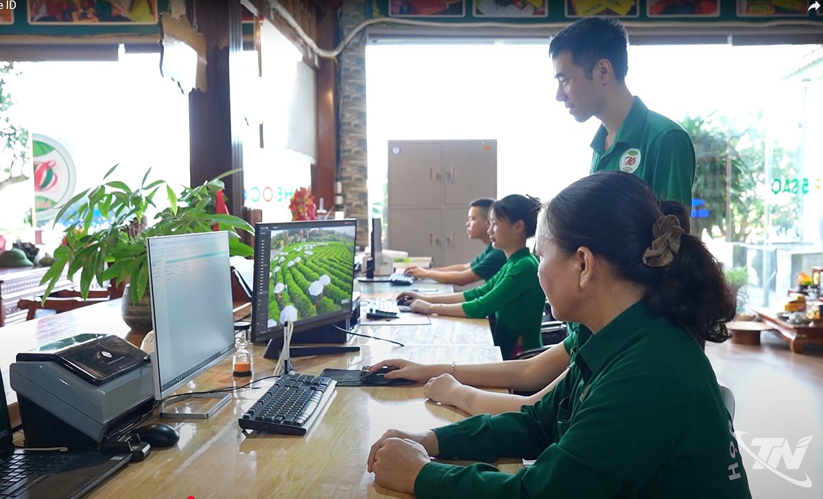 Nhờ chuyển đổi số,
môi trường làm việc
minh bạch, công
bằng, tăng sự gắn
bó của người lao
động trong HTX
chè Hảo Đạt.