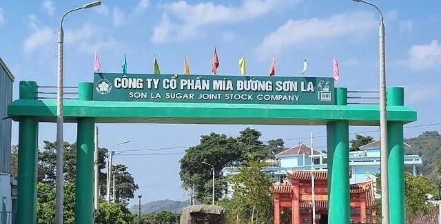 Son La Sugarcane (SLS) ហៀបនឹងបង់ភាគលាភជាសាច់ប្រាក់ 150% - រូបថត 1