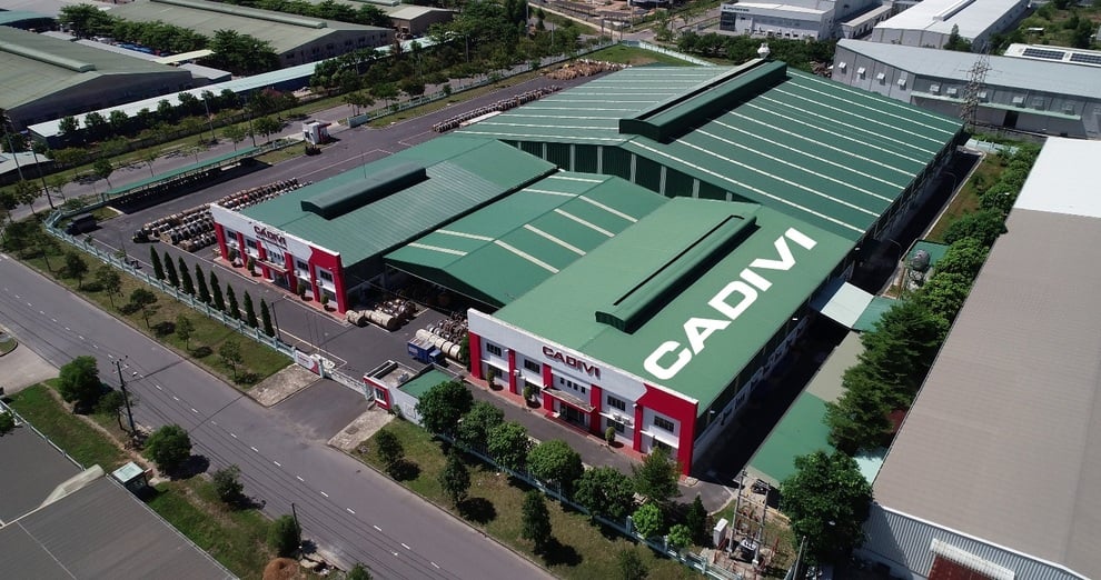 50 năm đổi mới và phát triển bền bỉ của CADIVI - 1