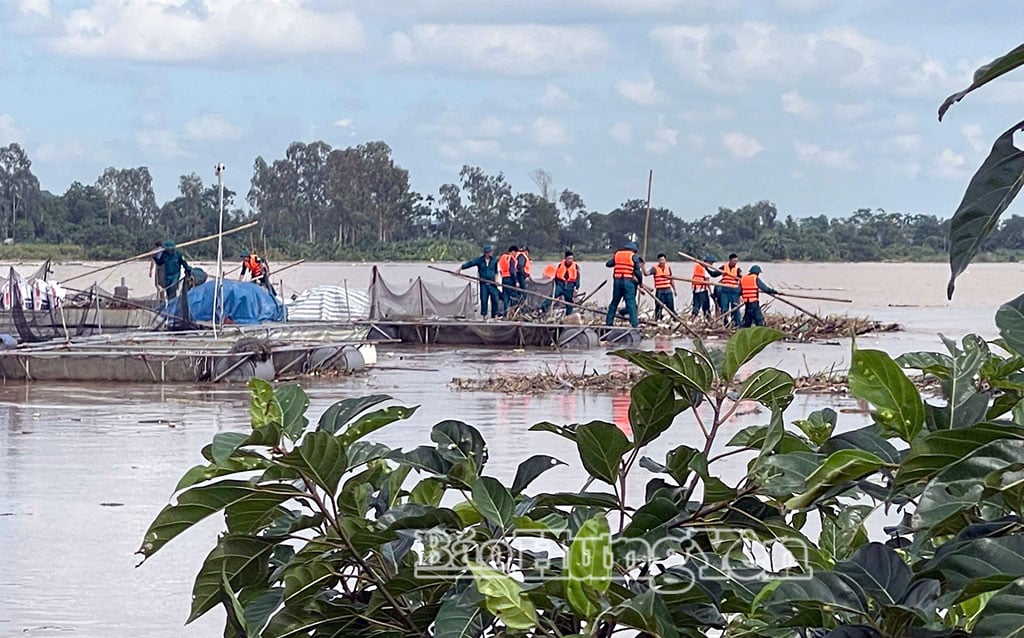 Youth Union members of Tan Hung commune cooperate with other forces to help fish cage farmers collect trash in the farming area.
