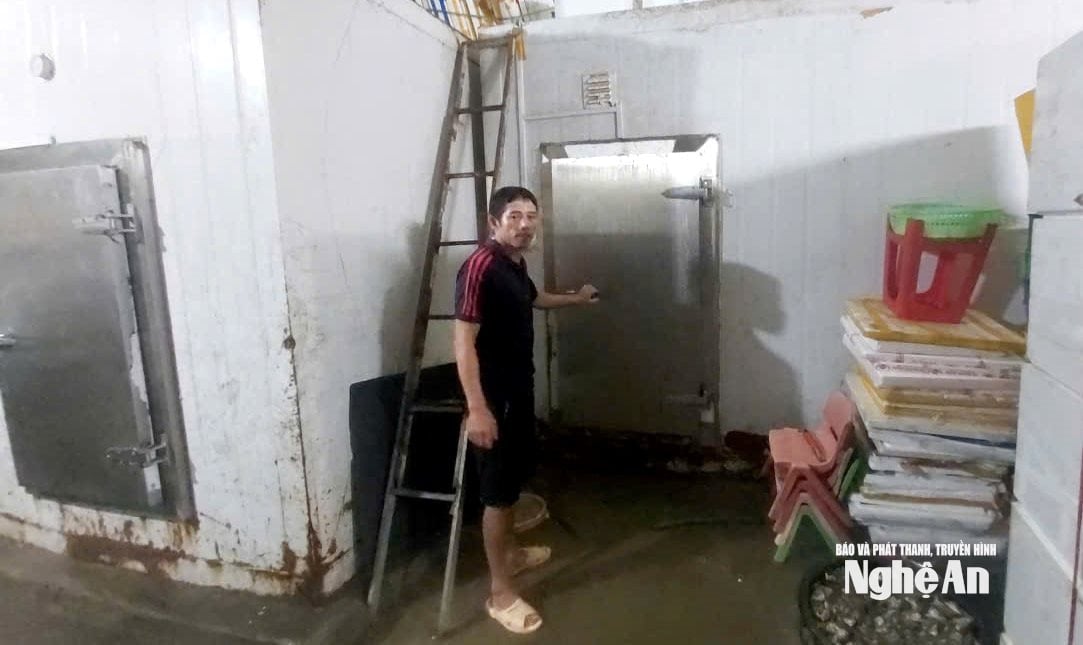 ស៊ីឌី ៥