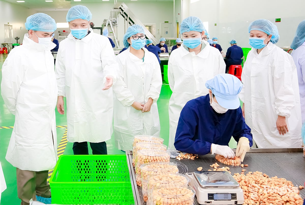 Comrade Ton Ngoc Hanh (second from right, standing row), alternate member of the Party Central Committee, Standing Deputy Secretary of the Provincial Party Committee, Chairman of the Provincial People's Council and provincial leaders visited the factory of Gia Bao Group Joint Stock Company (in Binh Phuoc ward). Photo: VS
