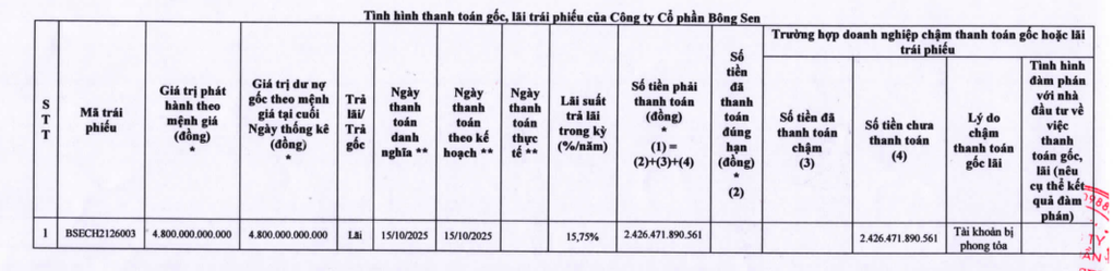 Công ty liên quan bà Trương Mỹ Lan chậm trả 2.426 tỷ đồng lãi trái phiếu - 1