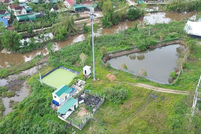 qt-thanh-binh-thinh.jpg