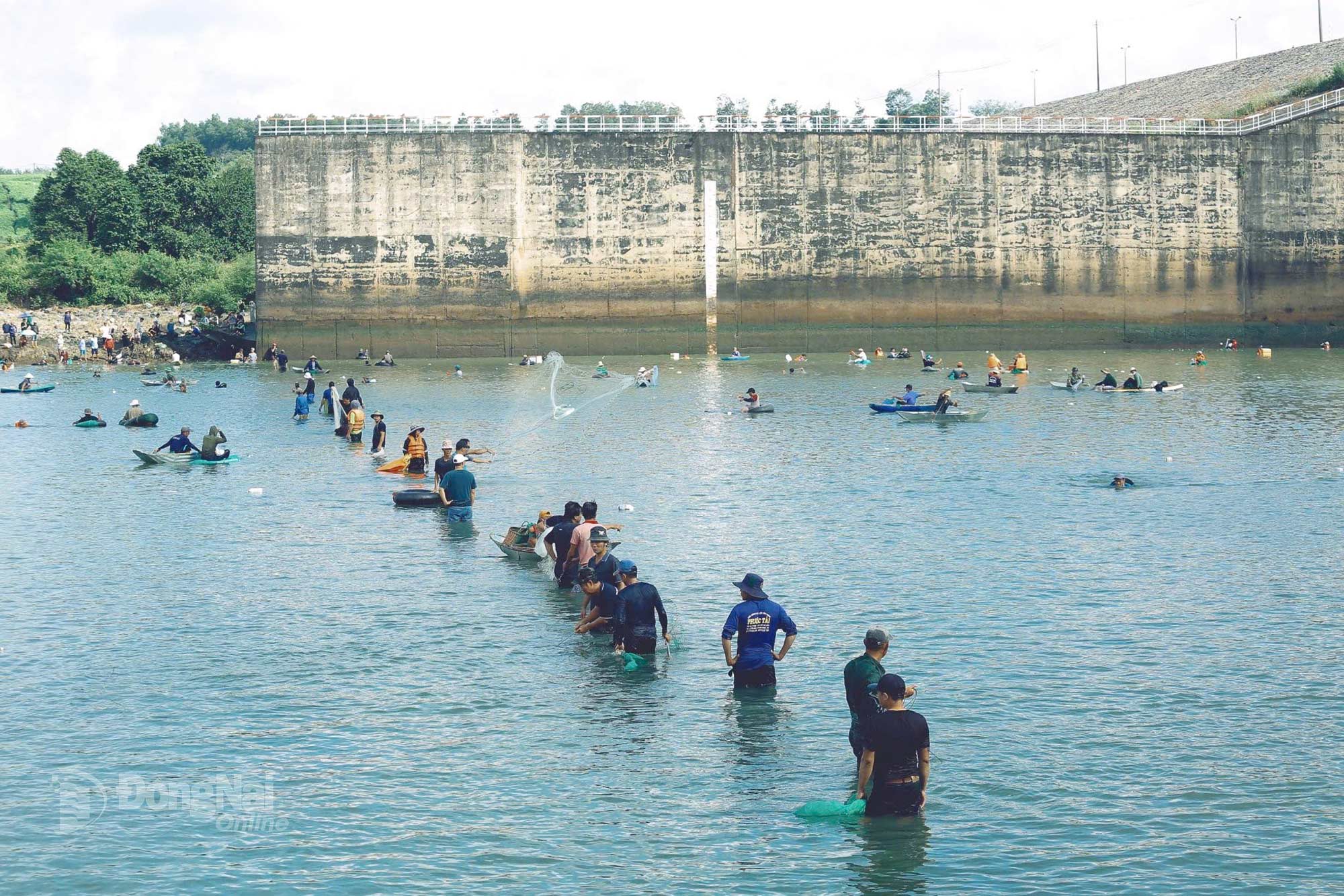 Hundreds of people wade into the water to catch fish together, creating a lively and bustling atmosphere. Photo: Thuy Tien