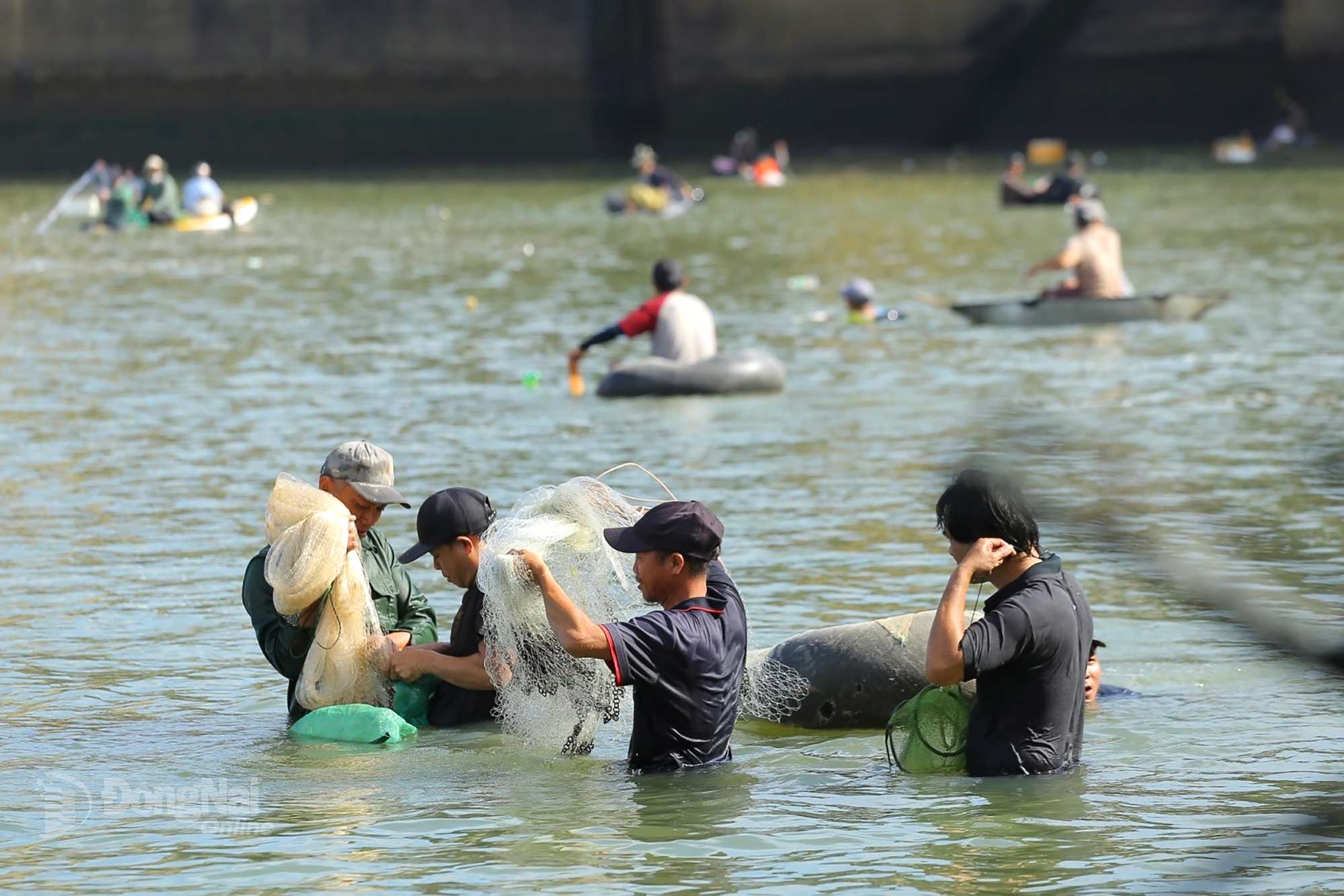 Although fish are scarce this year, each cast of the net still yields a catch. Photo: Thuy Tien