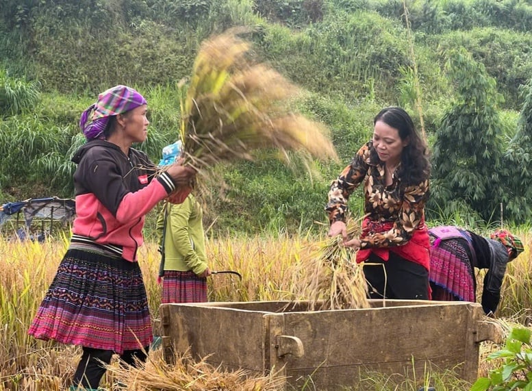 Da vila de Ao Bon ao centro: a jornada de uma mulher Tay para superar o preconceito - Foto 2. Từ làng Ao Bon đến Trung ương: Hành trình vượt lên định kiến của một người phụ nữ Tày- Ảnh 2.