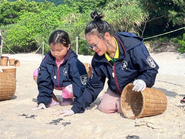 Bà đỡ của hàng trăm mẹ rùa - Ảnh 4.