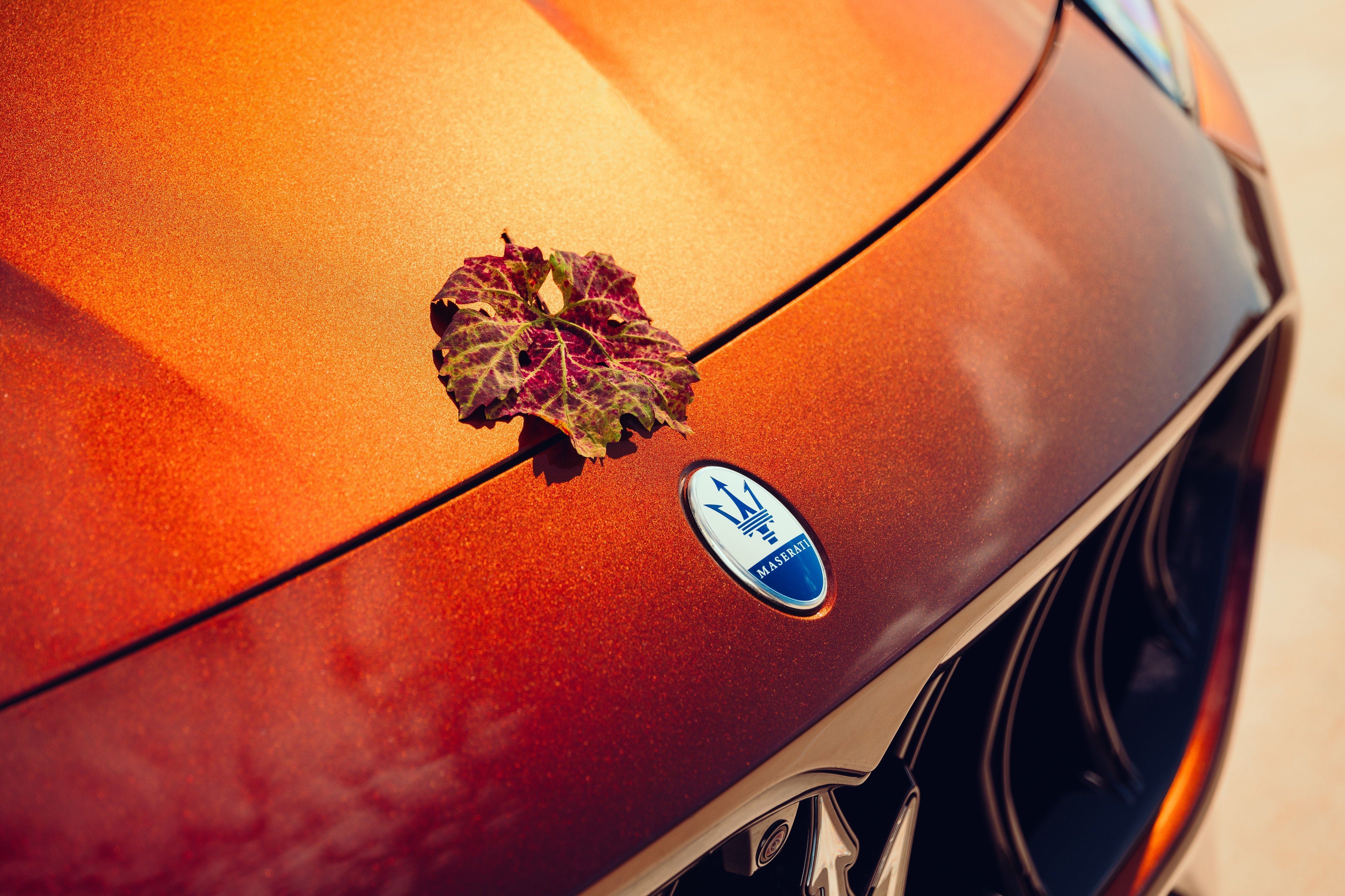 L'arrière de la Maserati Grecale Tributo Il Bruciato avec feux arrière à LED.