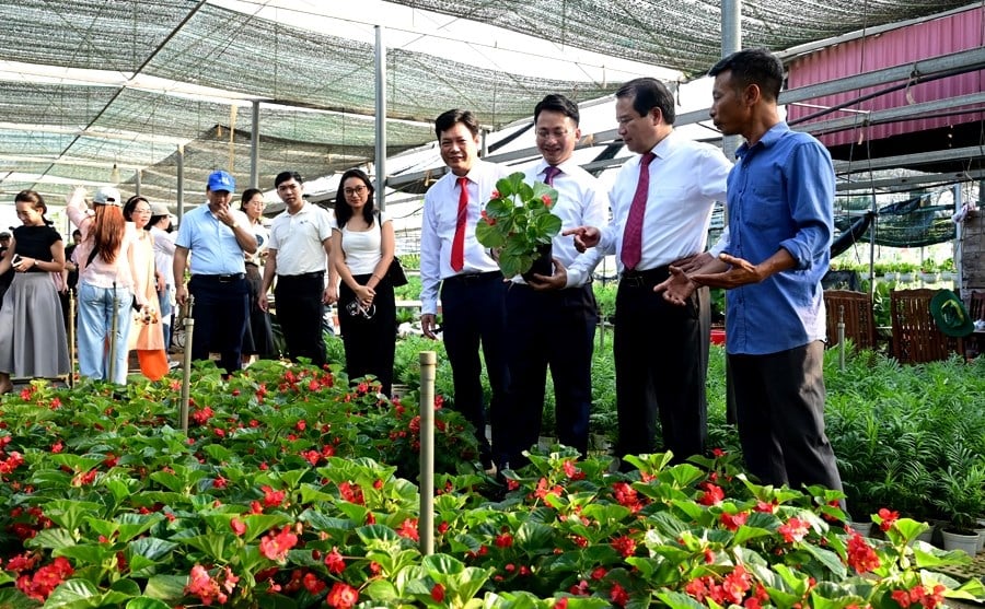 Hà Nội kiến tạo hệ sinh thái sản phẩm du lịch bền vững - Ảnh 3.