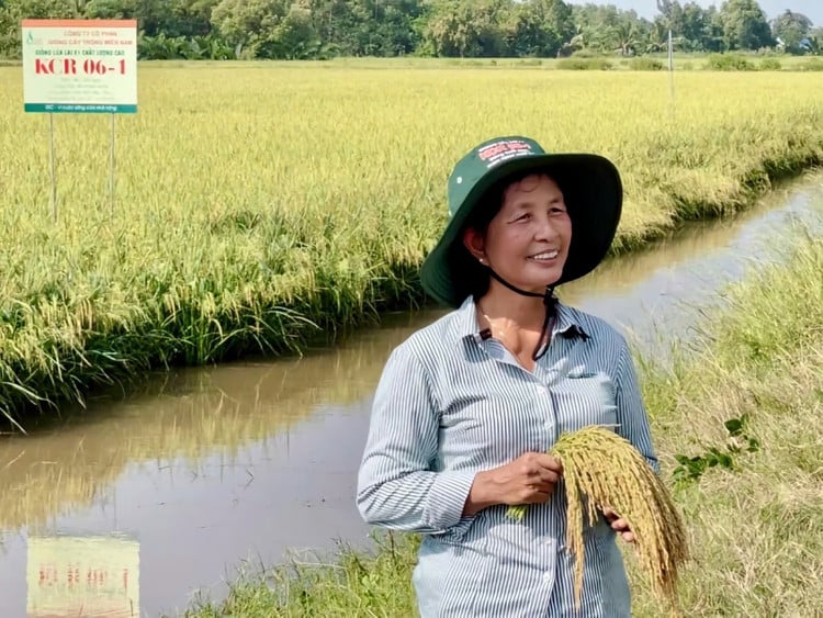 bach-thi-vung.jpg