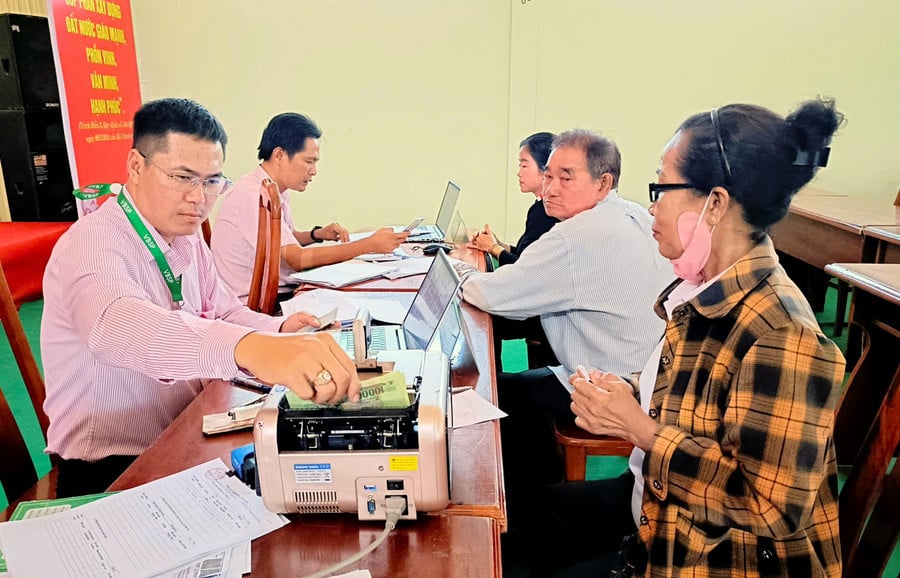 thap-sang-uoc-mo-stem-tu-chinh-sach-tin-dung-3.jpg