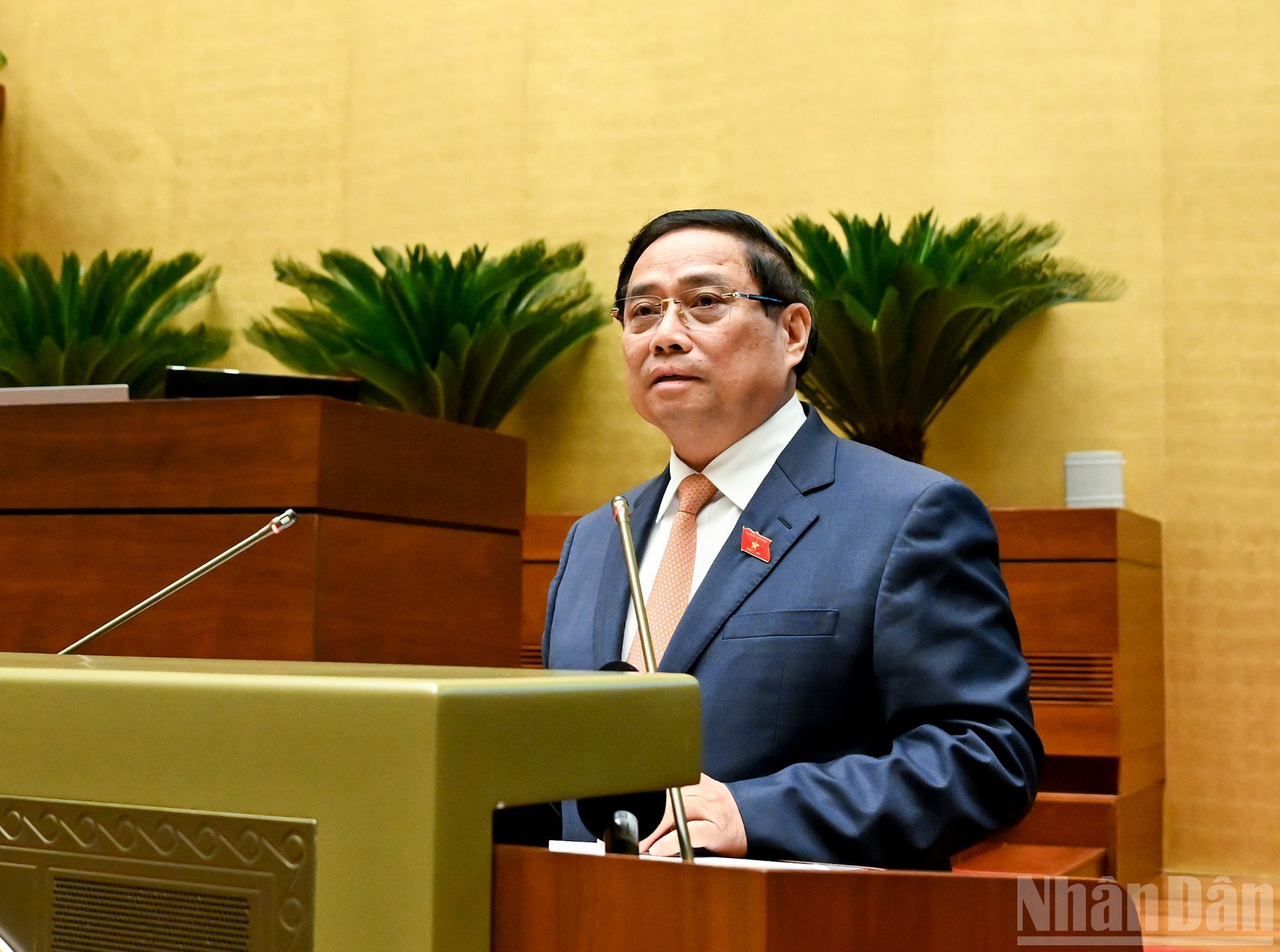 ndo_br_12-7707.jpg