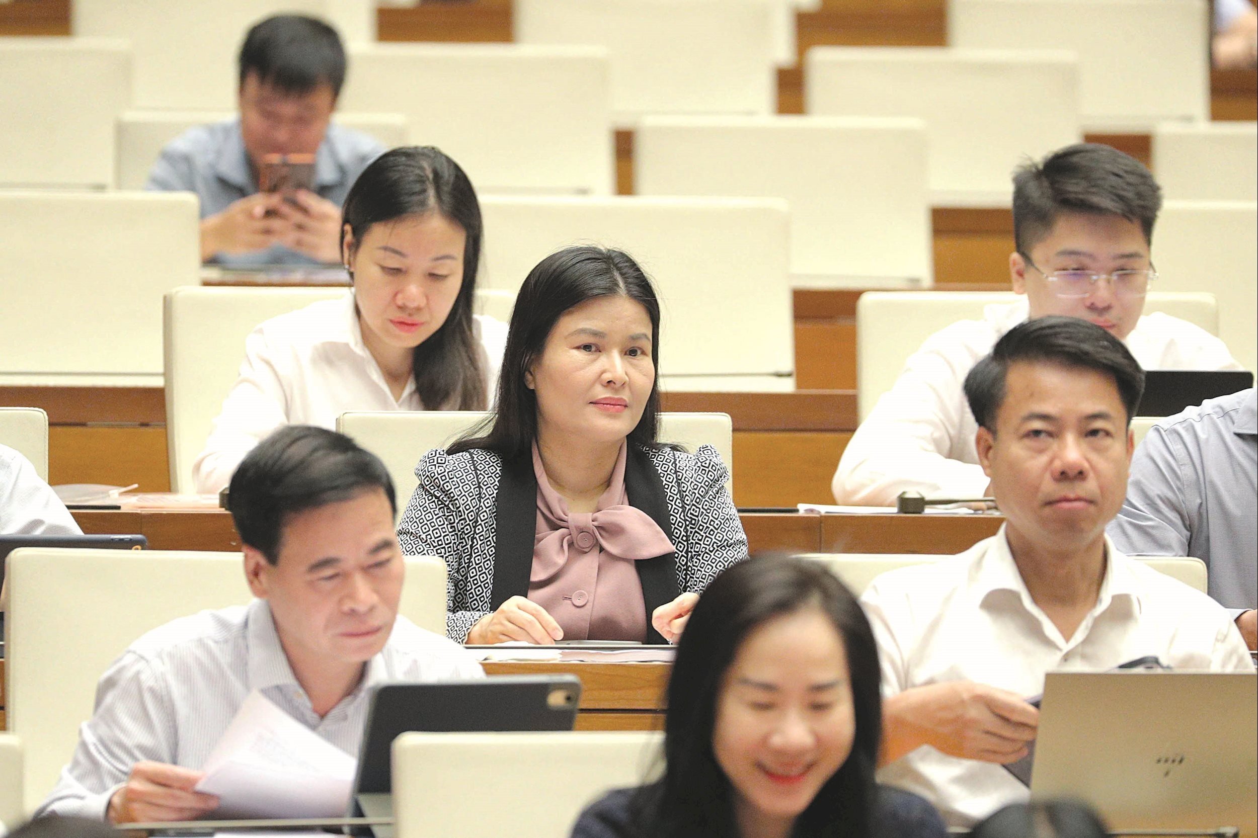 Các đại biểu dự hội nghị 1
