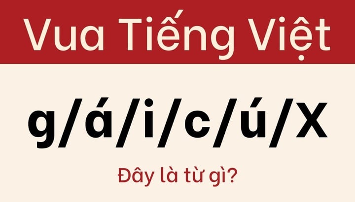 ¿Cuál crees que es la respuesta correcta?