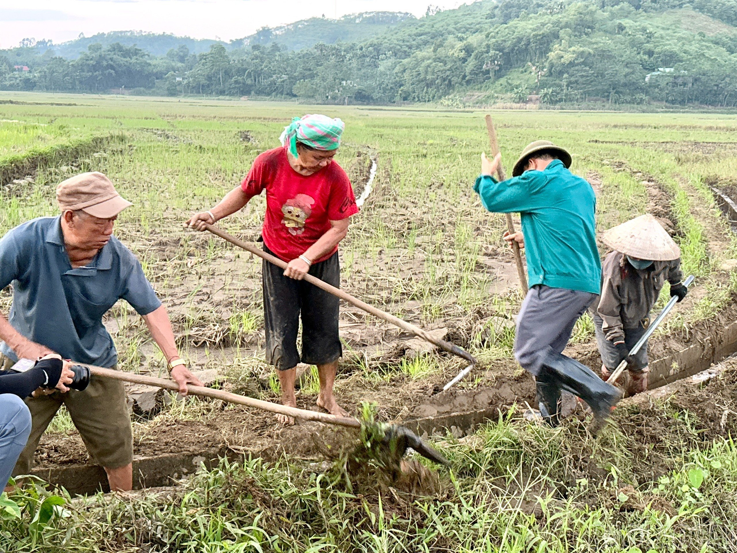 baolaocai-br_z7111968039418-3aef4d503852f47a519244a89e54cc4c.jpg