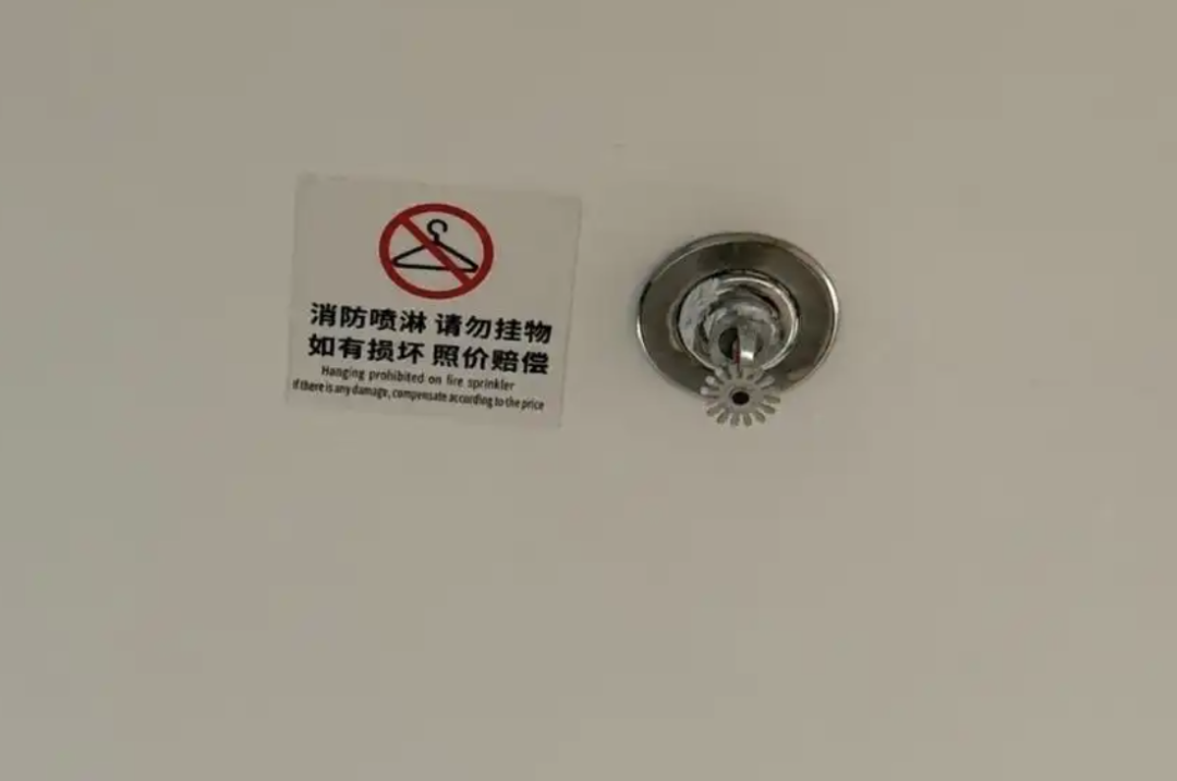 1760419905392072780.png