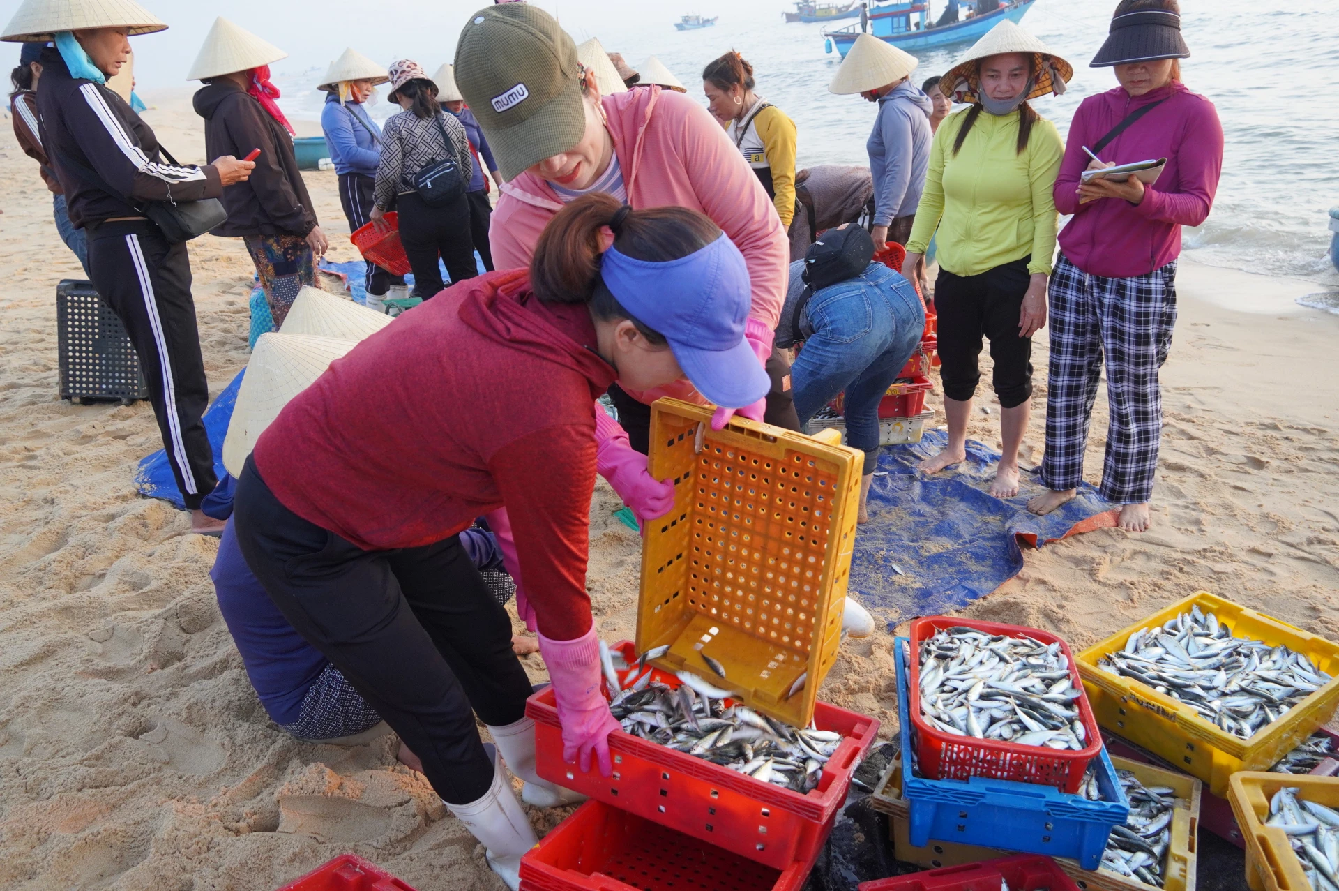 Hoạt động khai thác thủy sản từ đầu năm 2025 đến nay cơ bản được duy trì ổn định-Ảnh: T.H