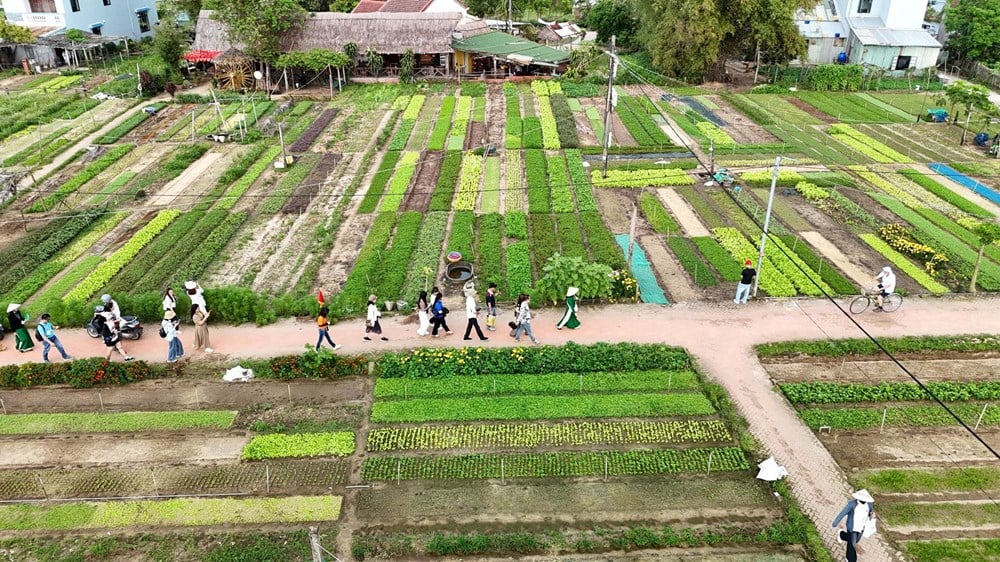 Preservación y promoción de los valores patrimoniales de Hoi An asociados al desarrollo del turismo sostenible - foto 5