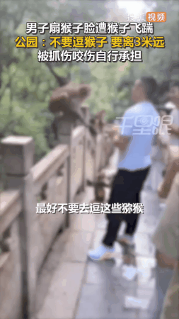 giphy0879.gif