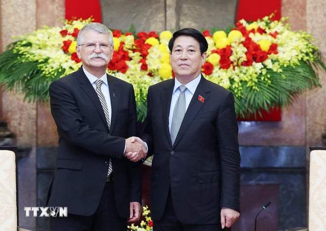 ttxvn-2010-chu-tich-nuoc-viet-nam-hungary-1.jpg