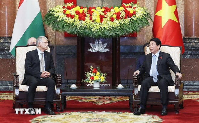 ttxvn-2010-chu-tich-nuoc-viet-nam-hungary-4.jpg