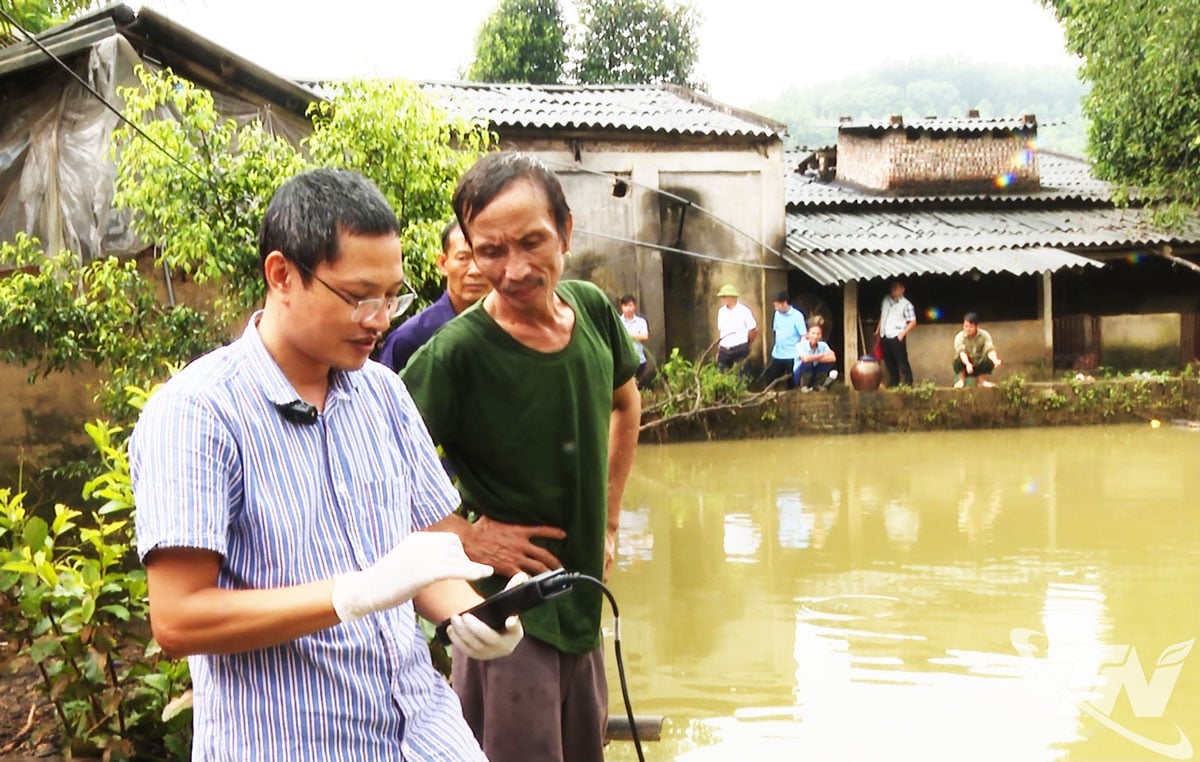 タイグエン農林大学の講師が、洪水後の養殖池の水環境指数の点検で農家を支援している。
