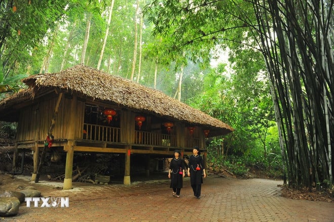 ttxvn-2010-lang-thai-hai.jpg