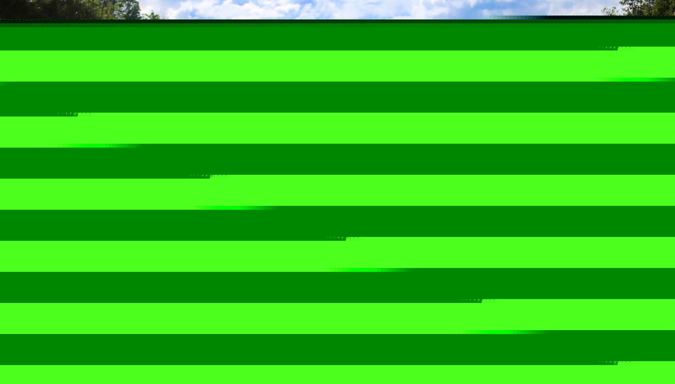 tp-d17.jpg