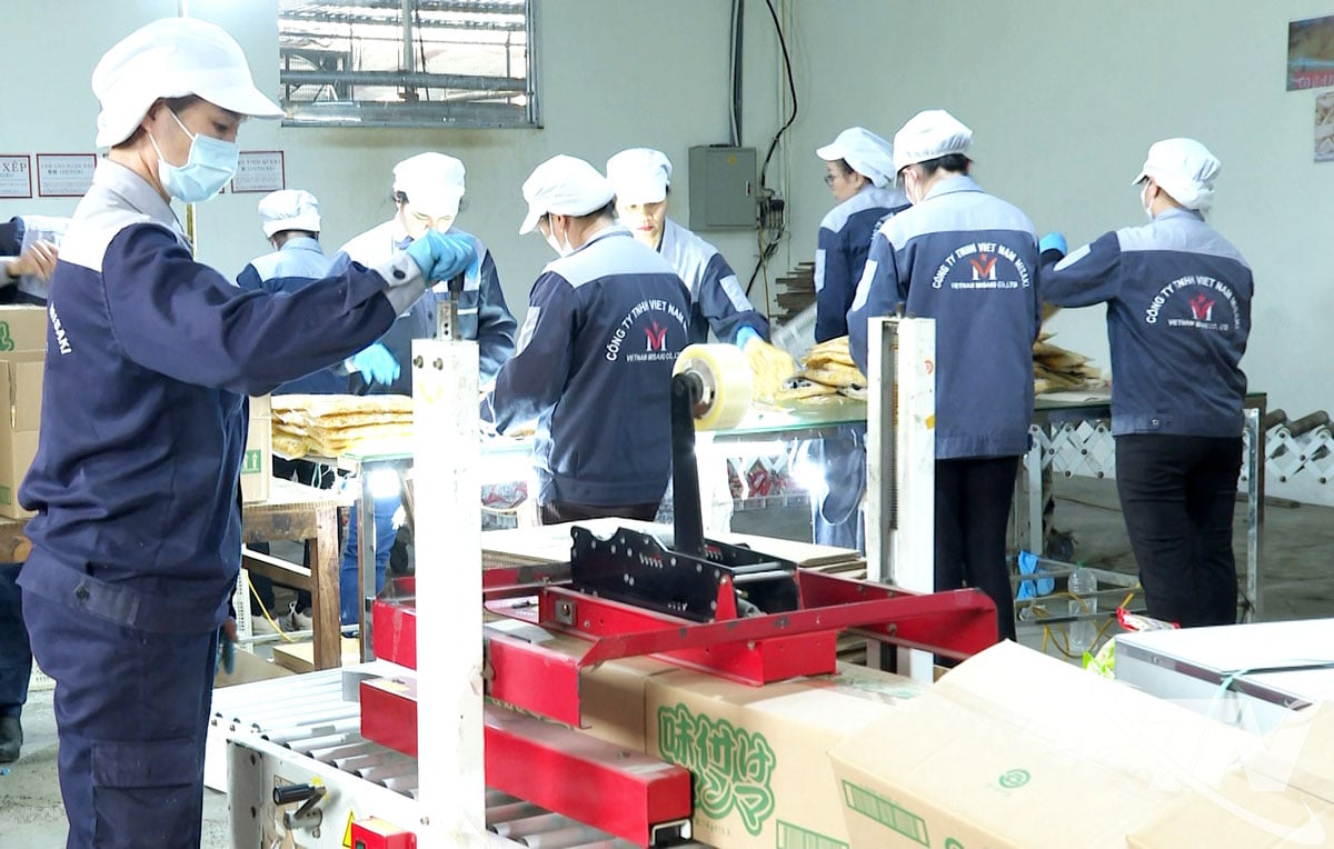 Misaki Vietnam Company Limited (Gemeinde Thanh Thinh) produziert und verarbeitet landwirtschaftliche Produkte für den Export auf den japanischen Markt.
