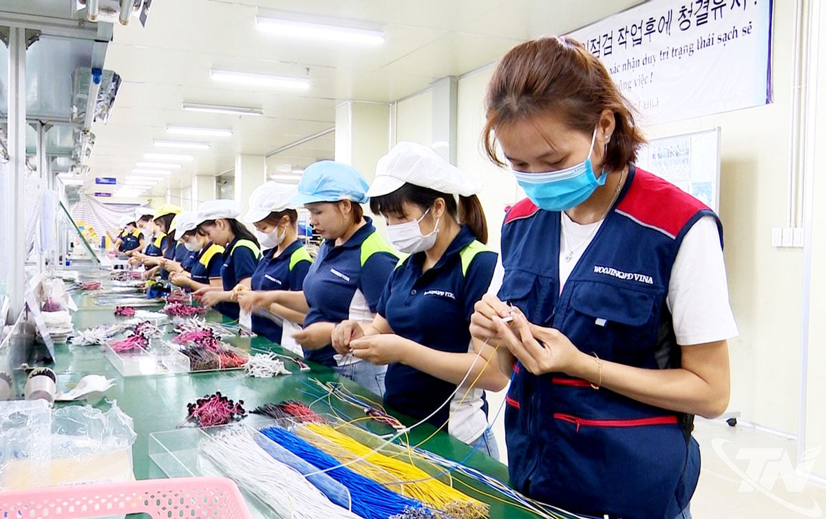 Produktion von Elektrokabeln für Autos für den Export bei Woojinqpd Vina Co., Ltd. (Diem Thuy Industrial Park).