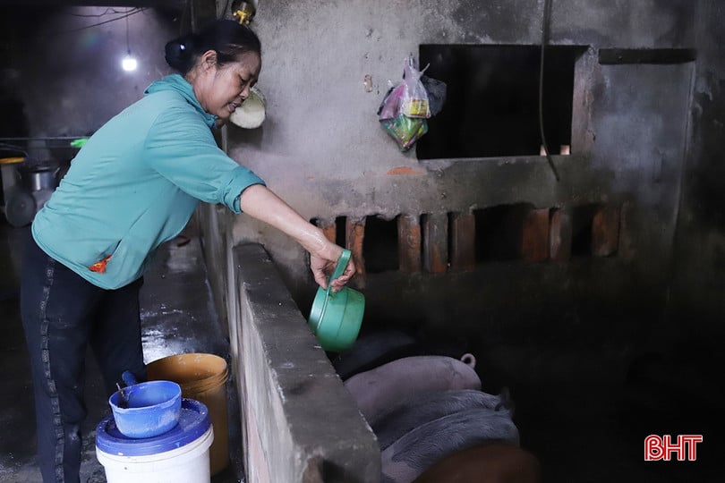 Với sự hỗ trợ đắc lực từ nguồn vốn của CLB, chị Trần Thị Hà gây dựng được mô hình kinh tế, trang trải cuộc sống gia đình.