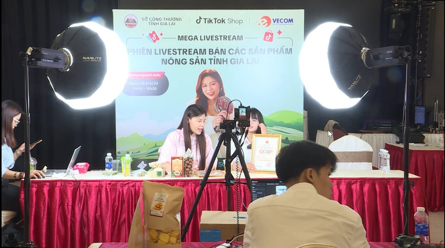 nha-sang-tao-noi-dung-le-phuong-oanh-kenh-tiktok-phuong-oanh-daily-trong-1-lan-ho-tro-cac-dn-htx-tinh-gia-lai-livestream-ban-hang-truc-tuyen-vao-cuoi-thang-52025-1.jpg