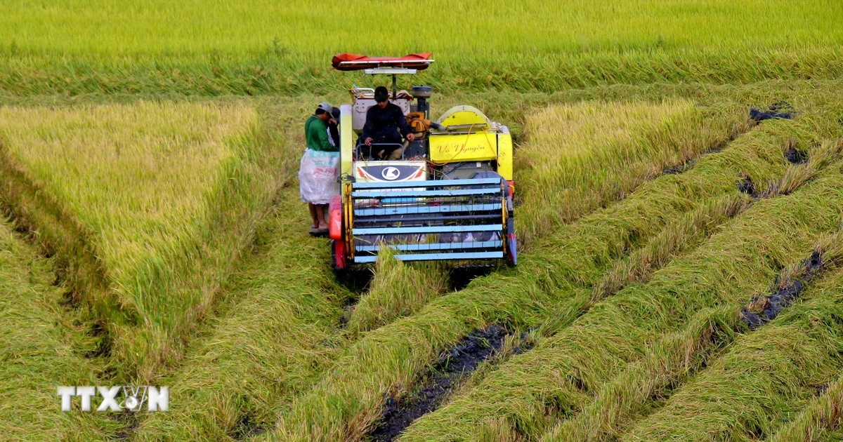 Sửa đổi 15 luật về nông nghiệp và môi trường: Gỡ điểm nghẽn, tạo đột phá