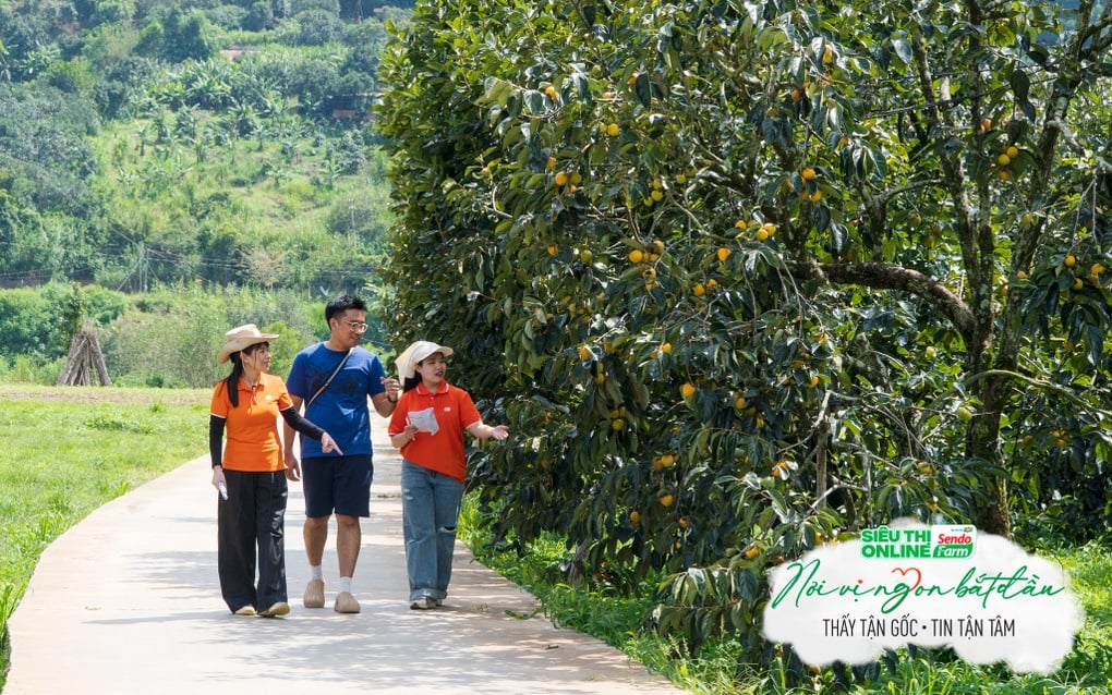 Sendo Farm lan tỏa câu chuyện về hành trình chuyển mình của nông sản Việt - 2