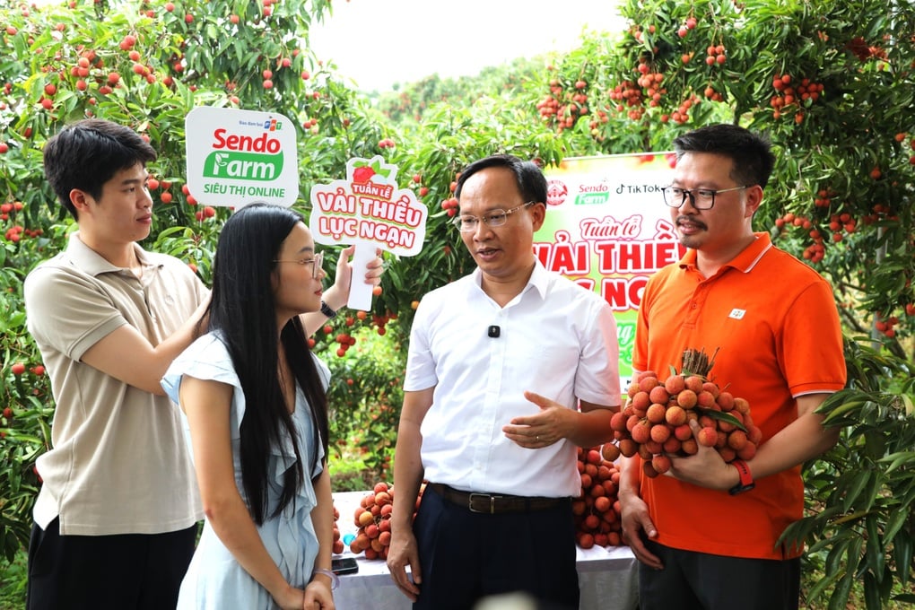 Sendo Farm lan tỏa câu chuyện về hành trình chuyển mình của nông sản Việt - 3